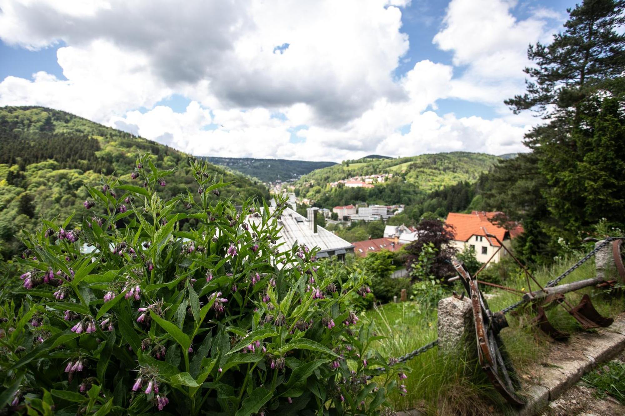 Hotel Panorama Jáchymov Eksteriør bilde